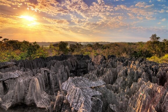 6 Hal Terbaik Yang Dapat Dilakukan di Madagaskar